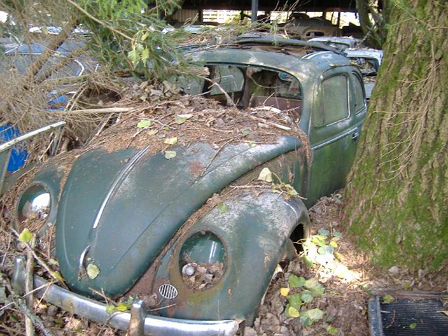 Autofriedhof - 104.JPG - Historischer Autofriedhof,    Gürbetal (CH)